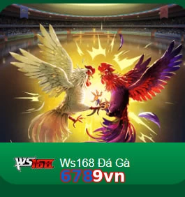 6789vn
